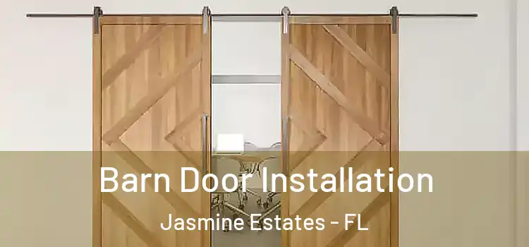  Barn Door Installation Jasmine Estates - FL