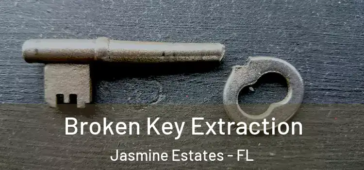  Broken Key Extraction Jasmine Estates - FL