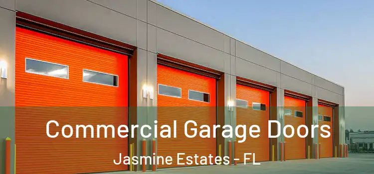  Commercial Garage Doors Jasmine Estates - FL