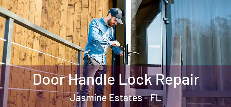  Door Handle Lock Repair Jasmine Estates - FL