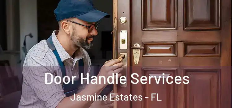  Door Handle Services Jasmine Estates - FL