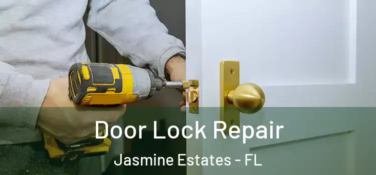  Door Lock Repair Jasmine Estates - FL