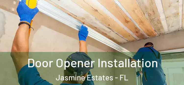  Door Opener Installation Jasmine Estates - FL