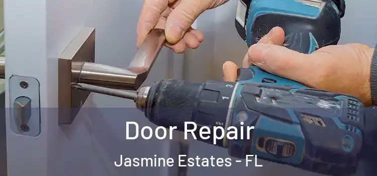 Door Repair Jasmine Estates - FL