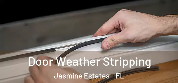  Door Weather Stripping Jasmine Estates - FL