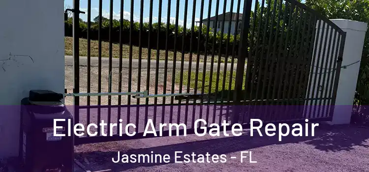  Electric Arm Gate Repair Jasmine Estates - FL