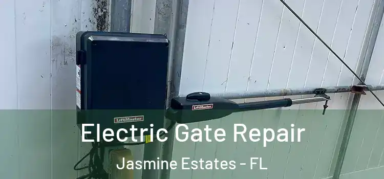 Electric Gate Repair Jasmine Estates - FL