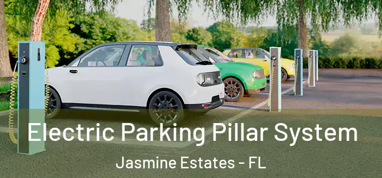  Electric Parking Pillar System Jasmine Estates - FL