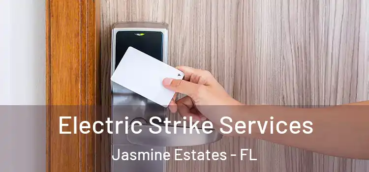  Electric Strike Services Jasmine Estates - FL