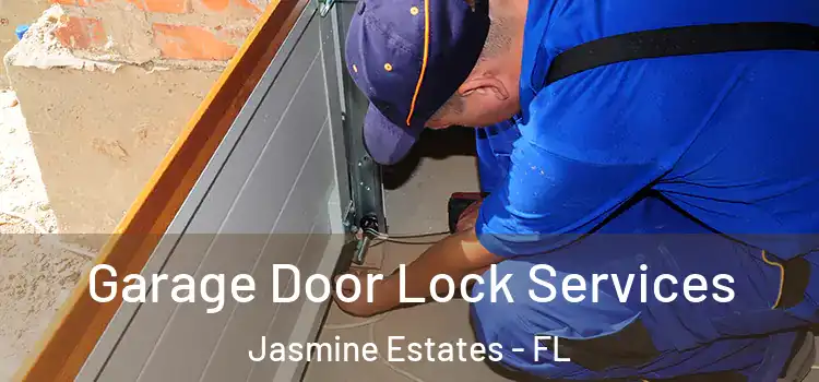  Garage Door Lock Services Jasmine Estates - FL