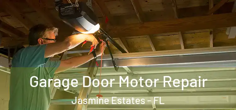  Garage Door Motor Repair Jasmine Estates - FL