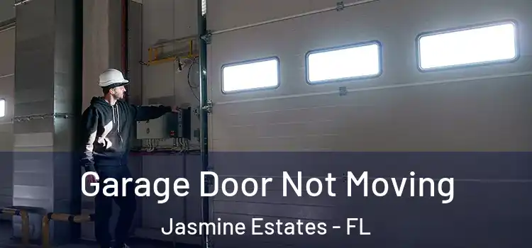  Garage Door Not Moving Jasmine Estates - FL