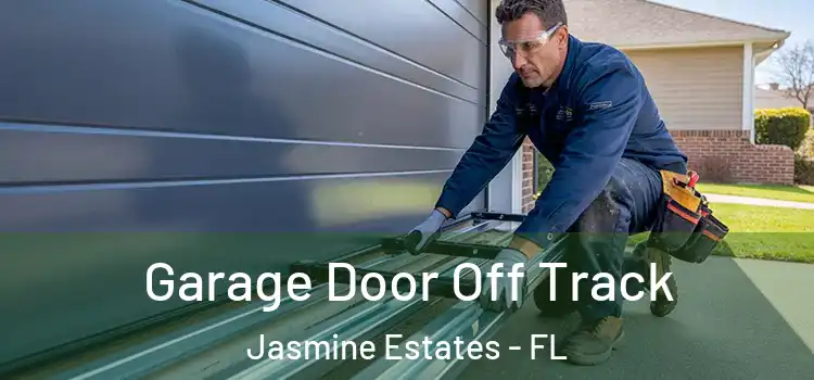  Garage Door Off Track Jasmine Estates - FL