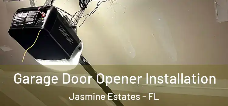  Garage Door Opener Installation Jasmine Estates - FL