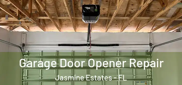  Garage Door Opener Repair Jasmine Estates - FL