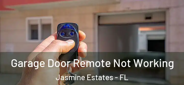  Garage Door Remote Not Working Jasmine Estates - FL