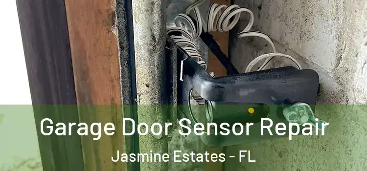  Garage Door Sensor Repair Jasmine Estates - FL