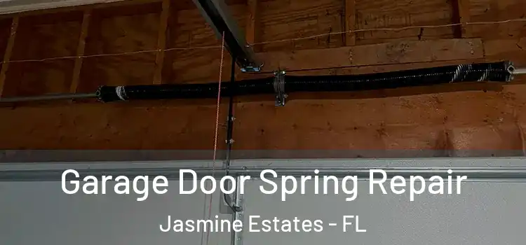  Garage Door Spring Repair Jasmine Estates - FL