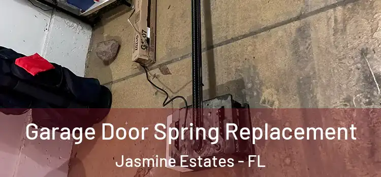  Garage Door Spring Replacement Jasmine Estates - FL