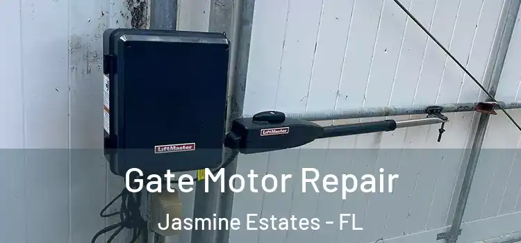  Gate Motor Repair Jasmine Estates - FL