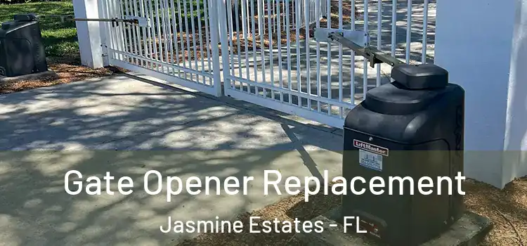  Gate Opener Replacement Jasmine Estates - FL