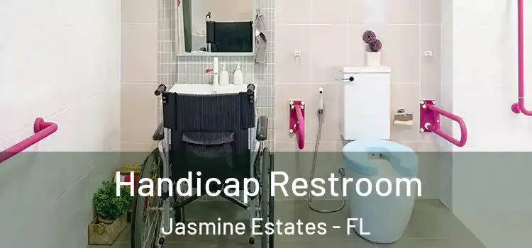  Handicap Restroom Jasmine Estates - FL