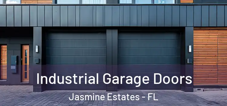  Industrial Garage Doors Jasmine Estates - FL