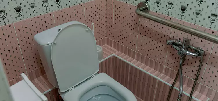 Meeting Diverse Needs With Accessible Restroom Solutions in Jasmine Estates, FL