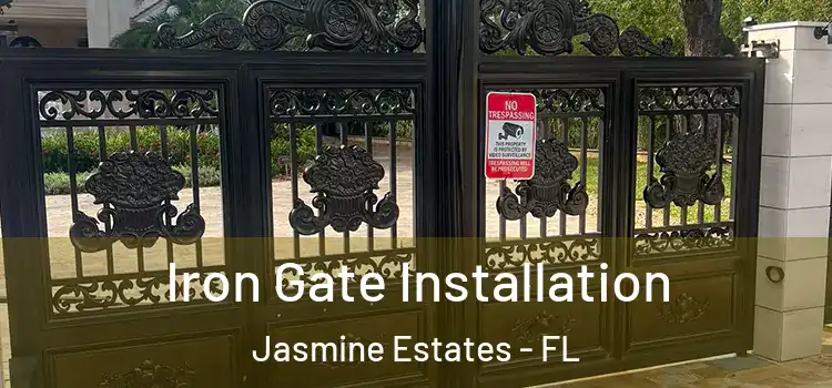  Iron Gate Installation Jasmine Estates - FL