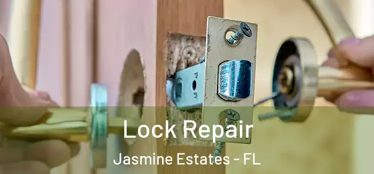  Lock Repair Jasmine Estates - FL