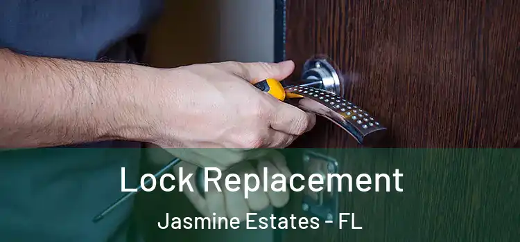  Lock Replacement Jasmine Estates - FL