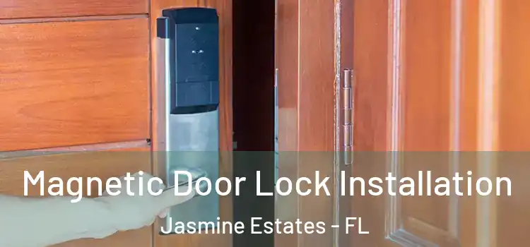  Magnetic Door Lock Installation Jasmine Estates - FL