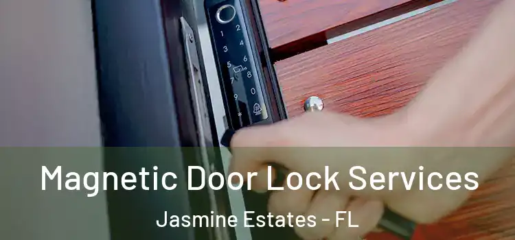  Magnetic Door Lock Services Jasmine Estates - FL