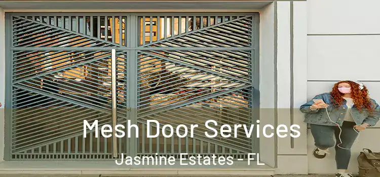  Mesh Door Services Jasmine Estates - FL