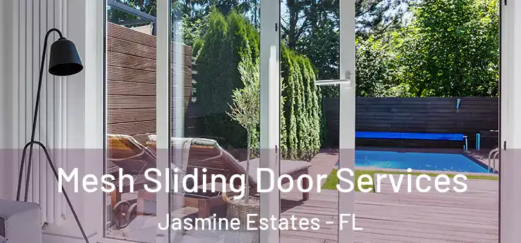  Mesh Sliding Door Services Jasmine Estates - FL