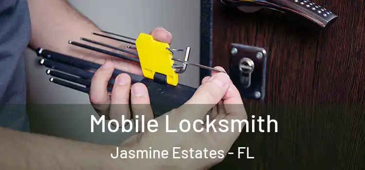  Mobile Locksmith Jasmine Estates - FL