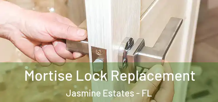  Mortise Lock Replacement Jasmine Estates - FL