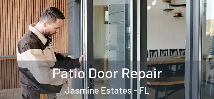  Patio Door Repair Jasmine Estates - FL