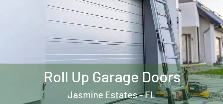  Roll Up Garage Doors Jasmine Estates - FL
