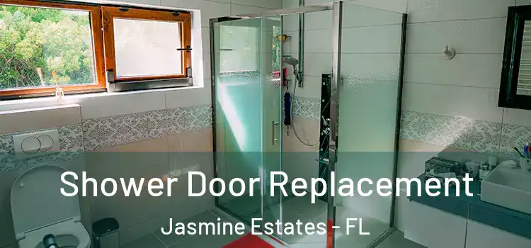  Shower Door Replacement Jasmine Estates - FL