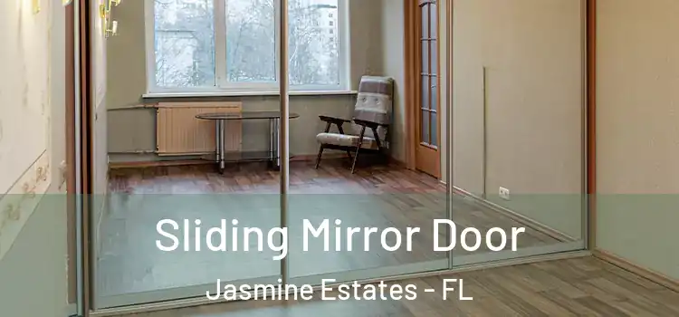  Sliding Mirror Door Jasmine Estates - FL