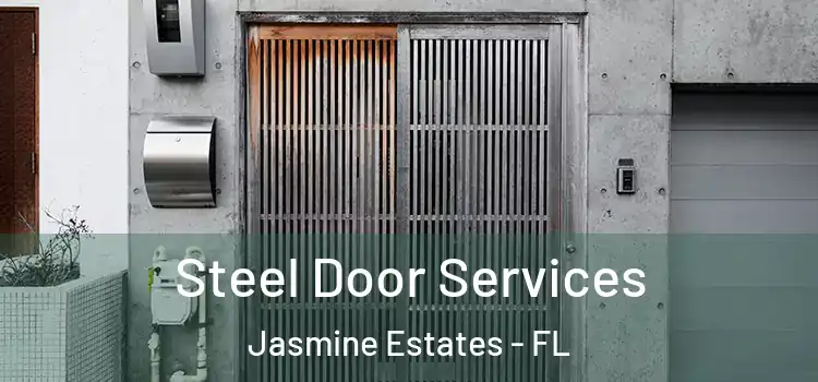  Steel Door Services Jasmine Estates - FL