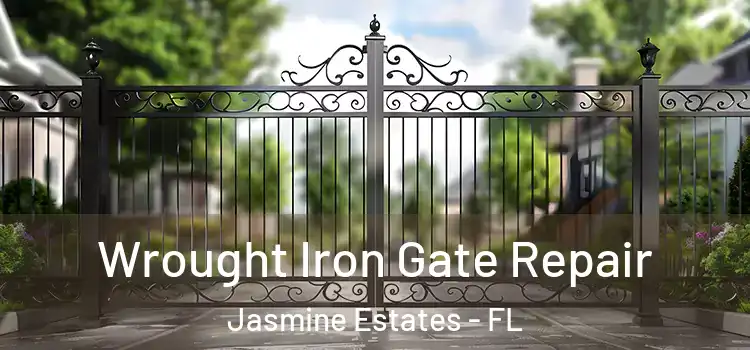  Wrought Iron Gate Repair Jasmine Estates - FL